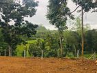 Land for sale in Hapugala