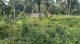 Land for Sale in Hapugala