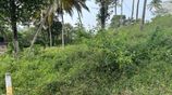 Land for Sale in Hapugala