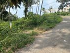 Land for Sale in Hapugala