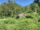 Land for sale in Haputale