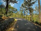 Land for sale in Haputale