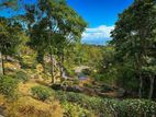 Land for Sale in Haputale