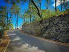 Land for Sale in Haputale