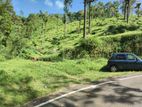 Land for Sale in Haputale