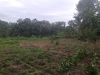 Land for Sale in Haputhale