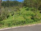 Land for Sale in Haputhale