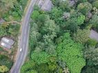 Land for sale in Haputhale / SA 13156