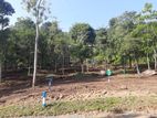 Land for sale in Haragama