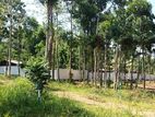 Land for Sale in Haragama