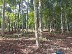 Land for sale in Haragama, Sinharagam