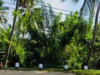 Land for Sale in Hasalaka, Pallewatta