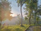 Land for Sale in Hatton