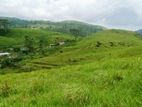 Land for sale in Hatton