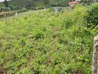 Land for Sale in Hawa Eliya Nuwara