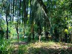 Land for Sale in Heerassagala Kandy