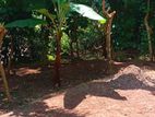 Land for Sale in Heiyanthuduwa