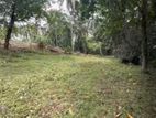 Land for Sale in Henegama