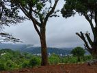 Land for Sale in Herassagala Kandy