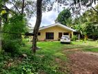 Land for sale in Hibutana with an old House ඕනෑම පර්චස් ගණනක් දිය හැක