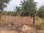 Land for Sale in Highlevel Road