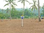 Land for Sale in Hikkaduwa 10 Perches