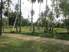 Land for Sale in Hikkaduwa