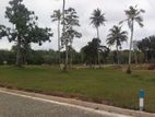 land for sale in Hikkaduwa