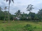 Land for sale in Hikkaduwa