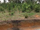 Land for Sale in Hikkaduwa