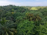 Land for Sale in Hikkaduwa
