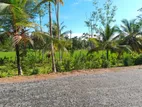 Land for sale in Hikkaduwa