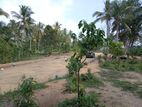 Land for Sale in Hikkaduwa