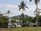 Land for Sale in Hikkaduwa
