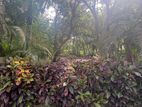 Land for Sale in Hikkaduwa