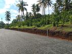 Land for Sale in Hikkaduwa Tourism Area
