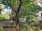 Land for Sale in Hill Street Dehiwala