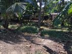 Land for Sale in Himbutana 34P