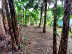 Land for sale in Himbutana With an Old House