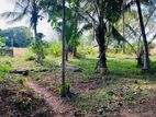 Land for Sale in Hingurakgoda, Polonnaruwa