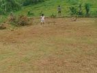 Land for sale in hirana