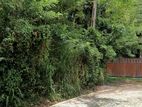 Land for sale in Hiriketiya