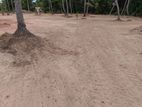 Land for Sale in හලාවත