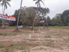 Land for Sale in හලාවත