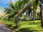 Land for Sale in හල්තොට