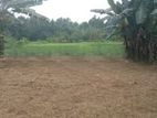 Land for Sale in Hokandara