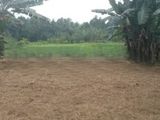 Land for Sale in Hokandara