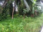 Land for Sale in Hokandara