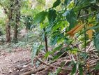 Land for Sale in Hokandara