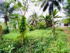 Land for Sale in Hokandara